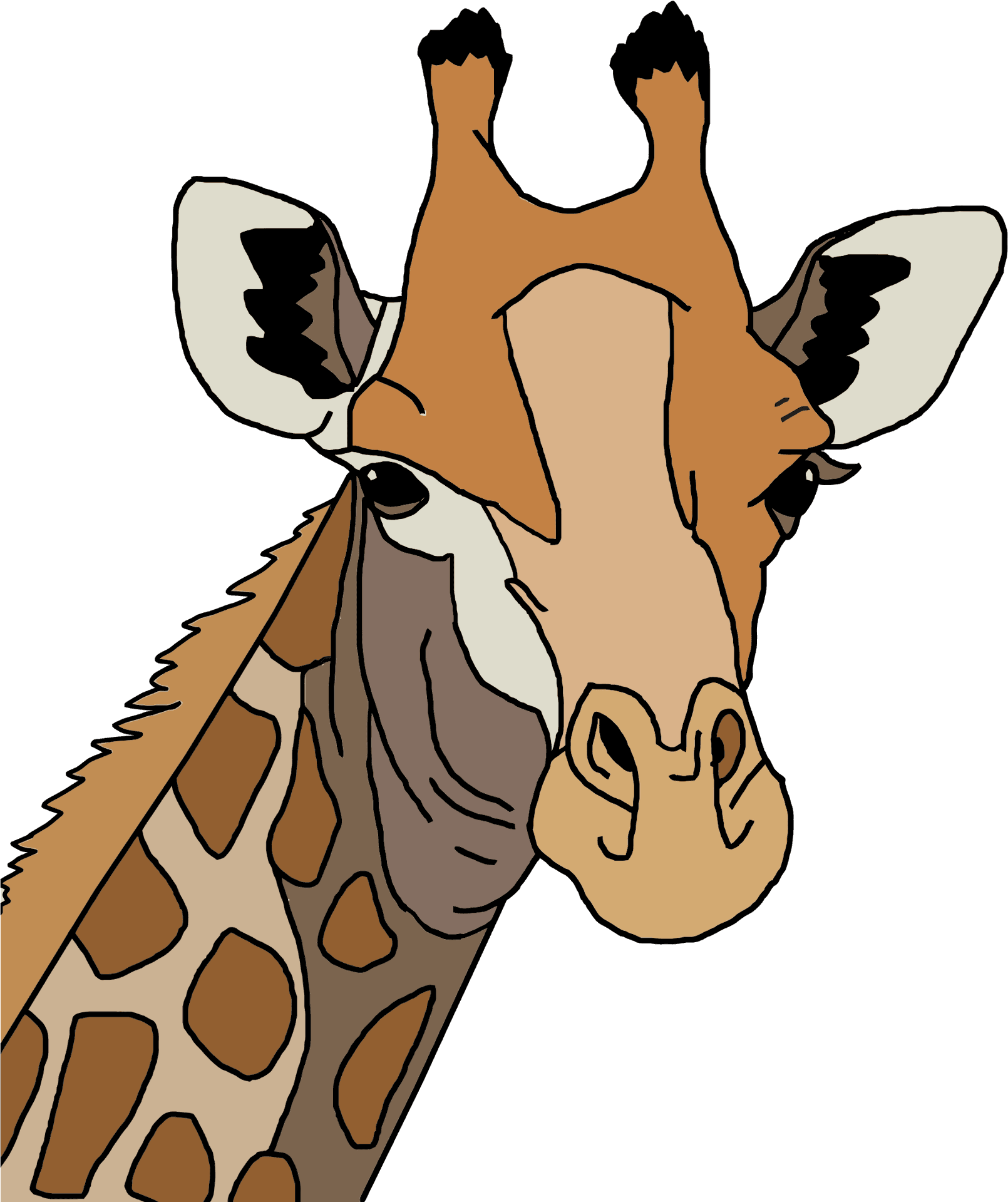 Giraffe Portrait Illustration PNG