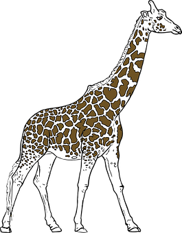 Giraffe Silhouette Art PNG