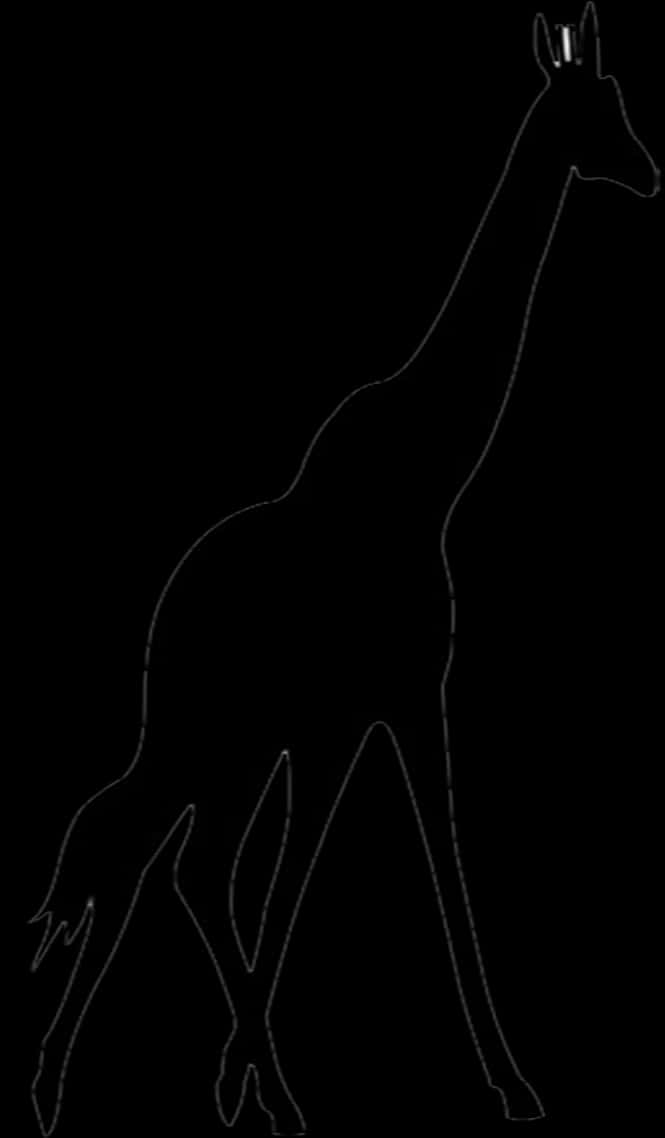 Giraffe Silhouette Outline PNG