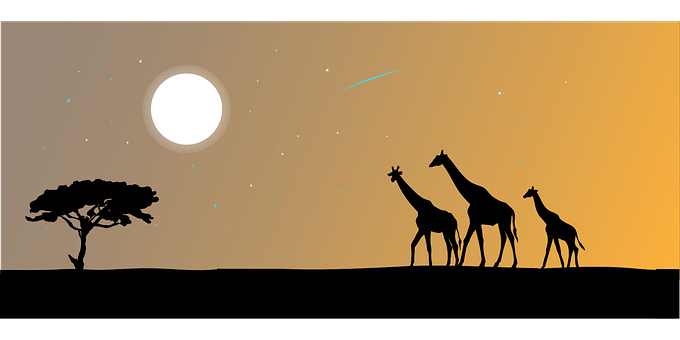 Giraffe Silhouettes Under African Sky PNG