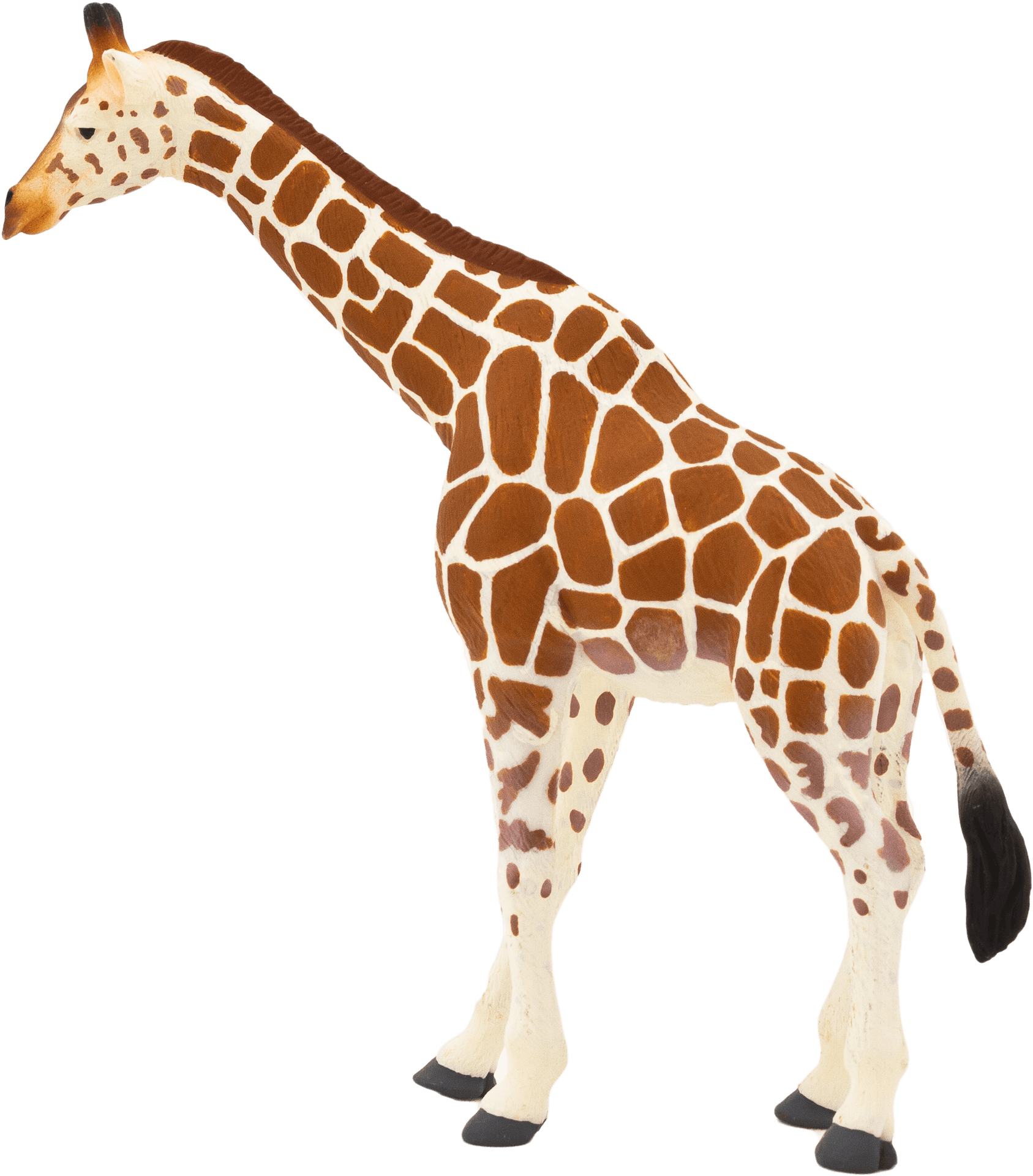 Giraffe Standing Profile PNG