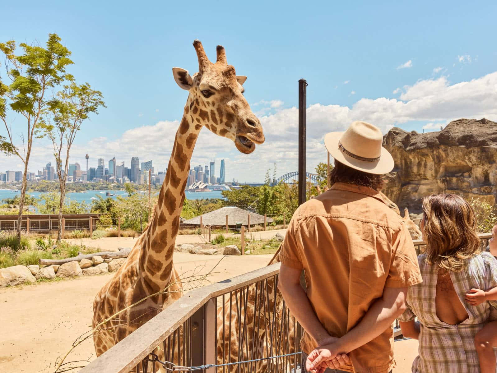 Download Giraffeand Visitorsat Taronga Zoowith Sydney Skyline Wallpaper ...