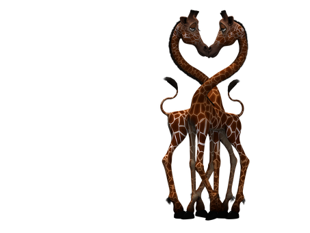 Giraffesin Love Dark Background PNG