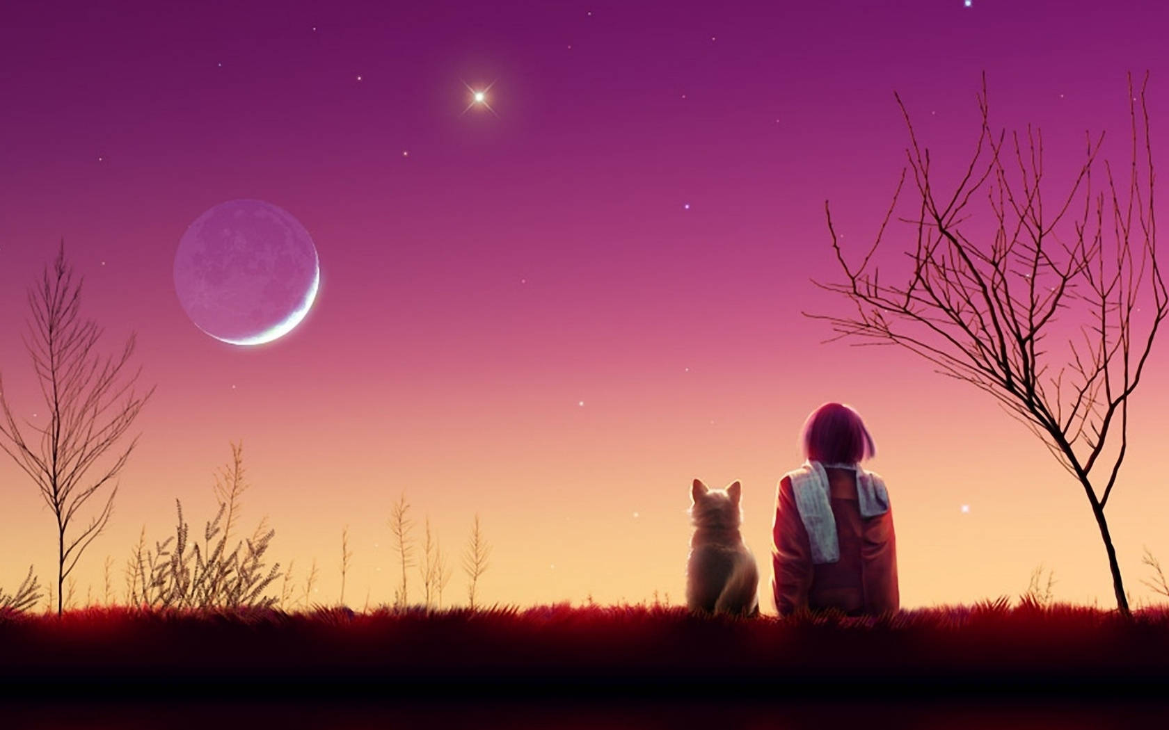 Girl And Cat Anime Aesthetic Sunset