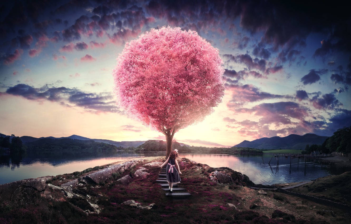 Girl And Pink Tree Adobe Photoshop Wallpaper