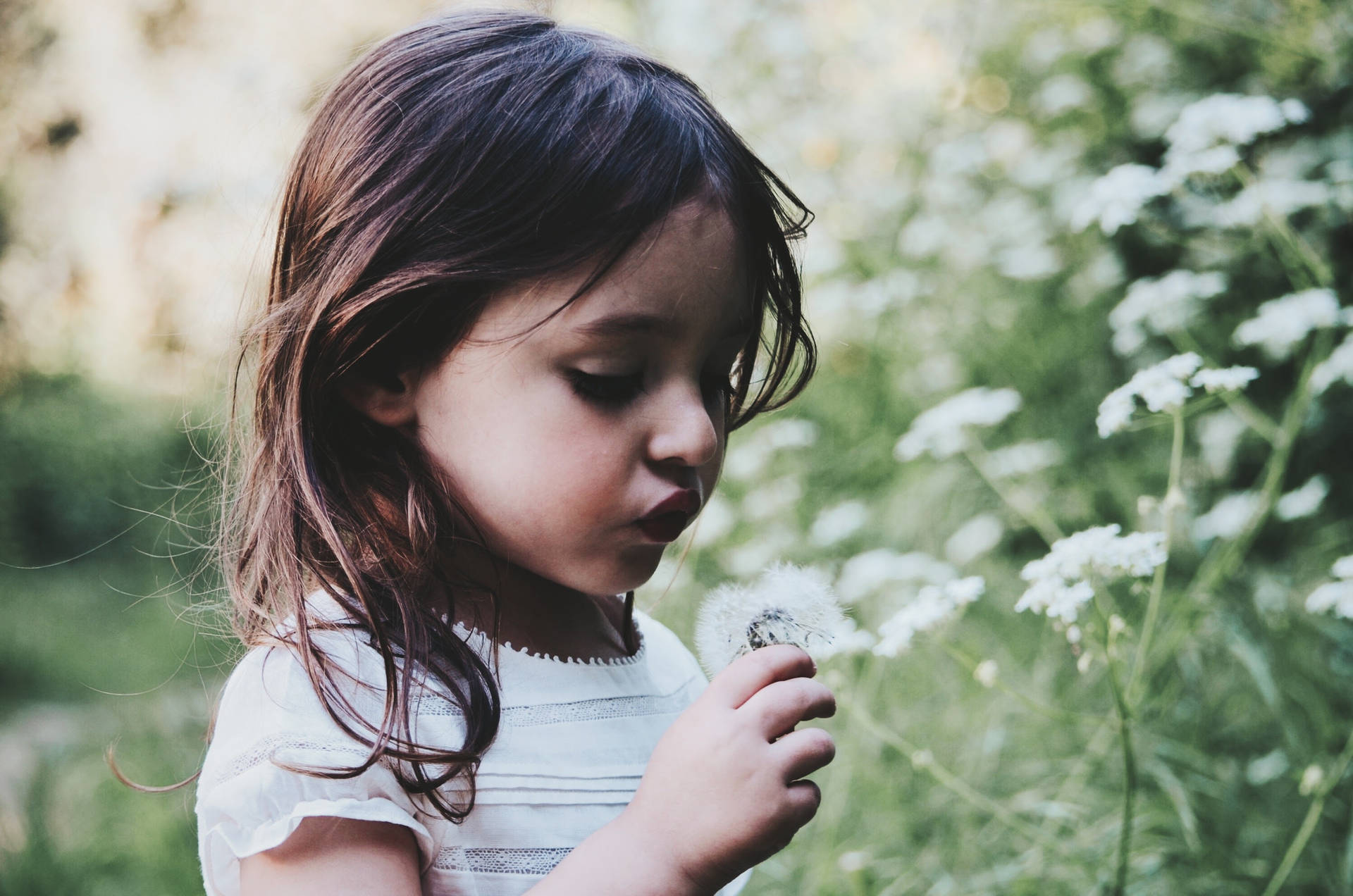 Girl Blowing Dandelion Picture