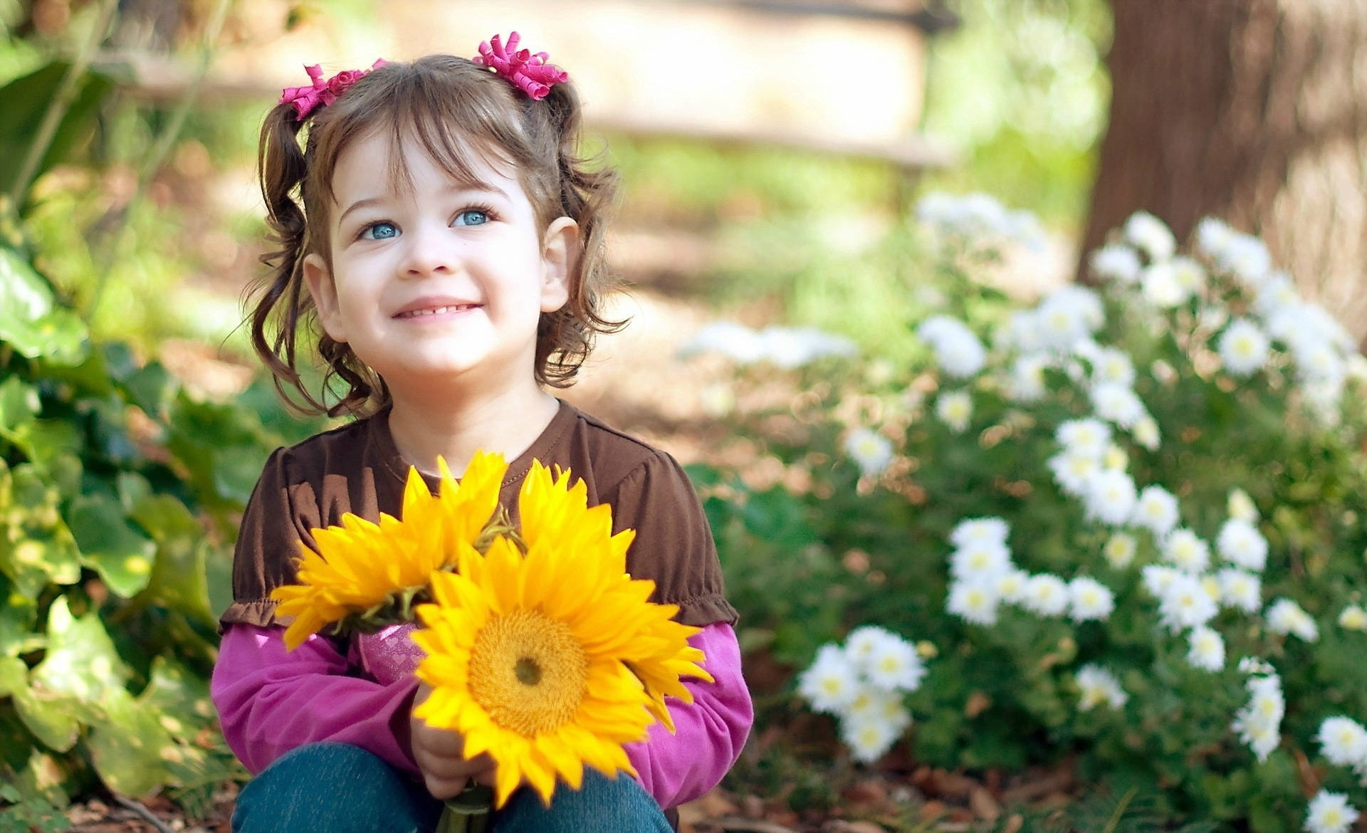 Girl Child Holding Common Sunflowers Wallpaper