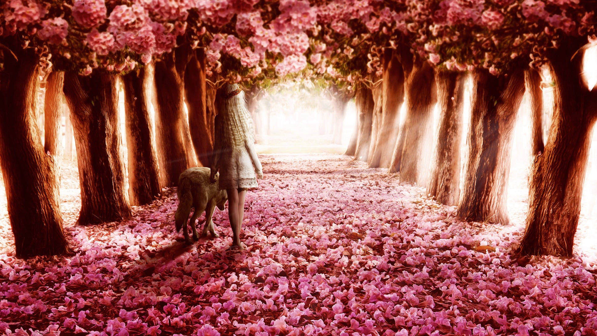 Girl Cute Pink Flower Path Wallpaper