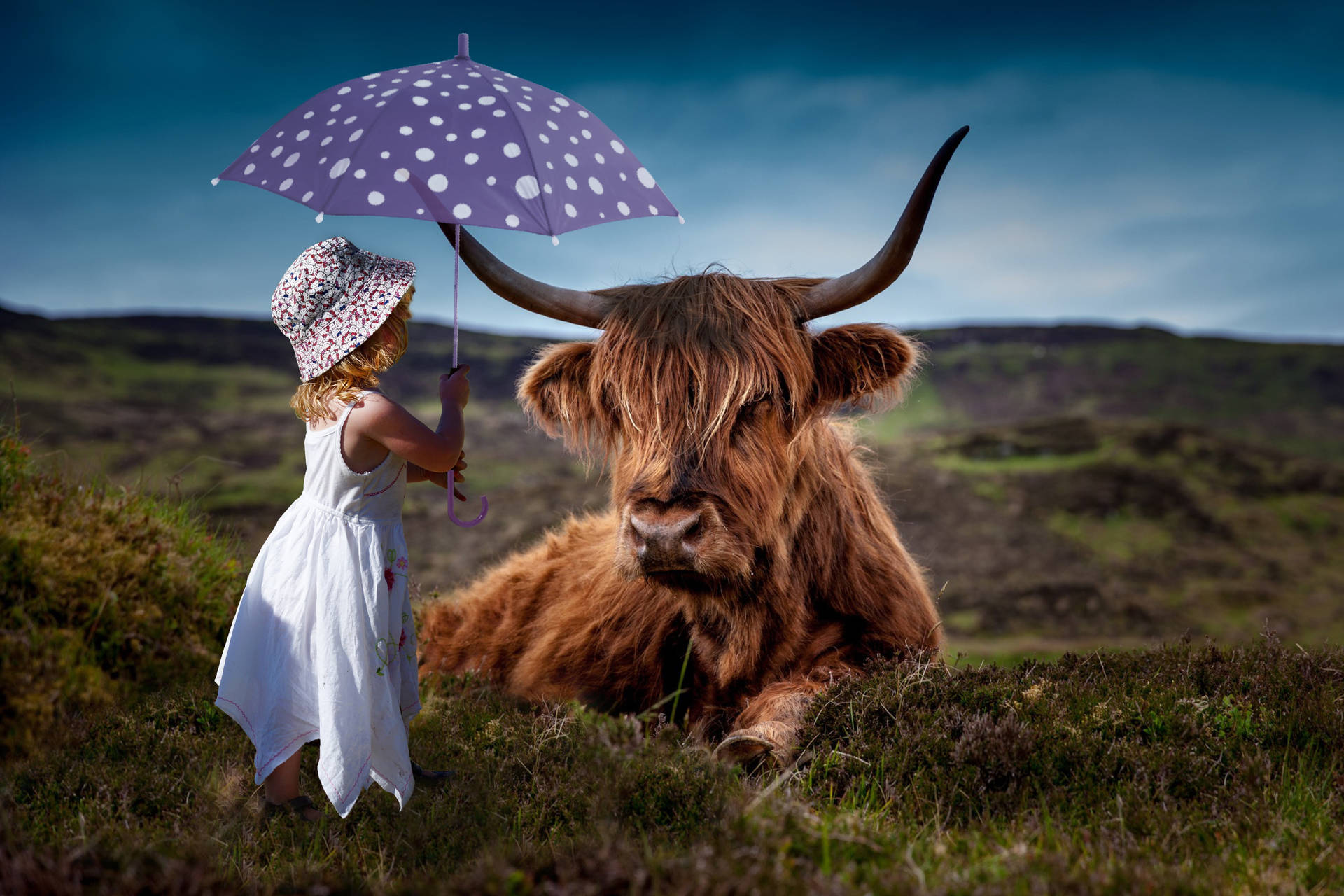 Girl Holding Umbrella Over Highland Cow Wallpaper