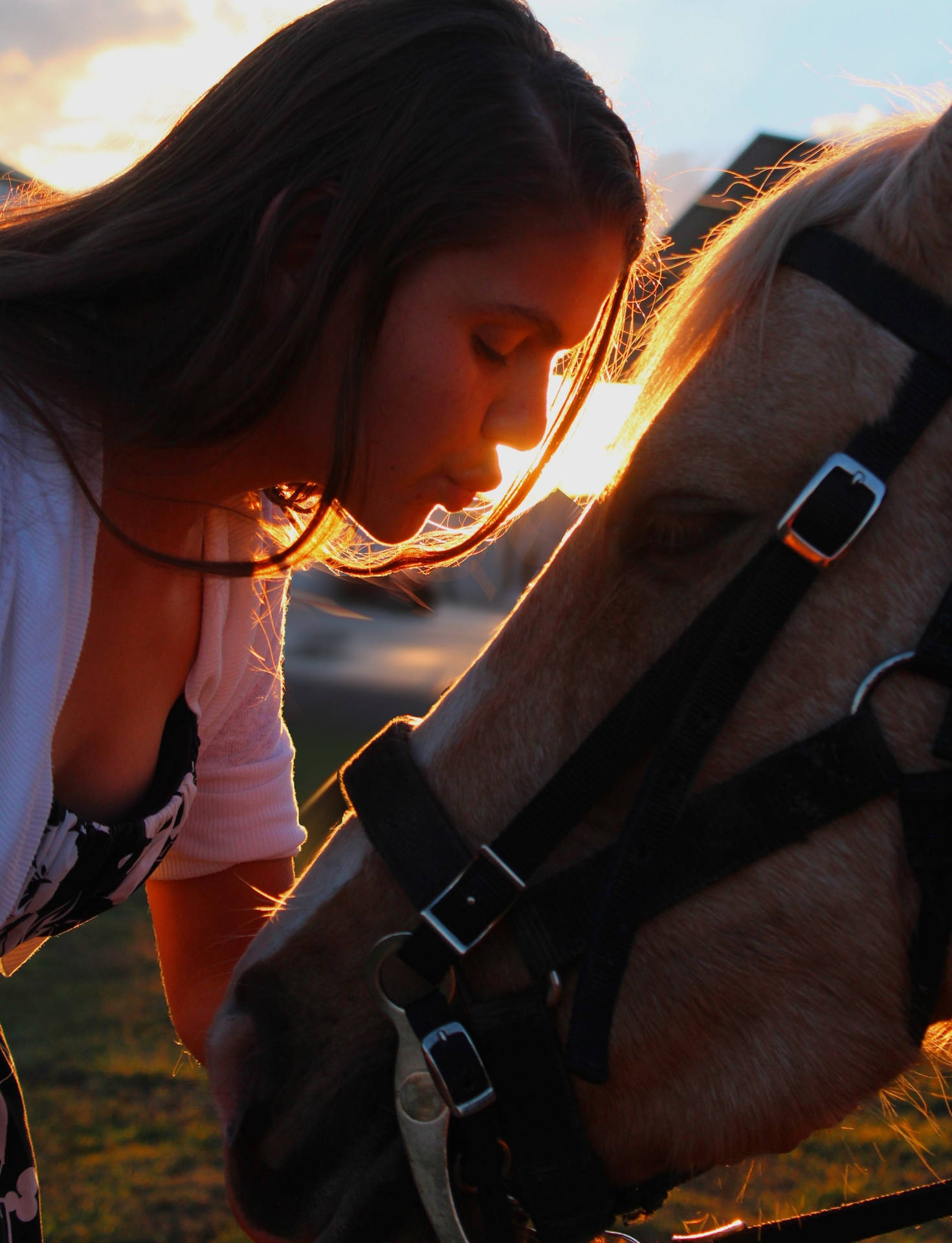Mädchen,das Ein Pferd Küsst Iphone Wallpaper