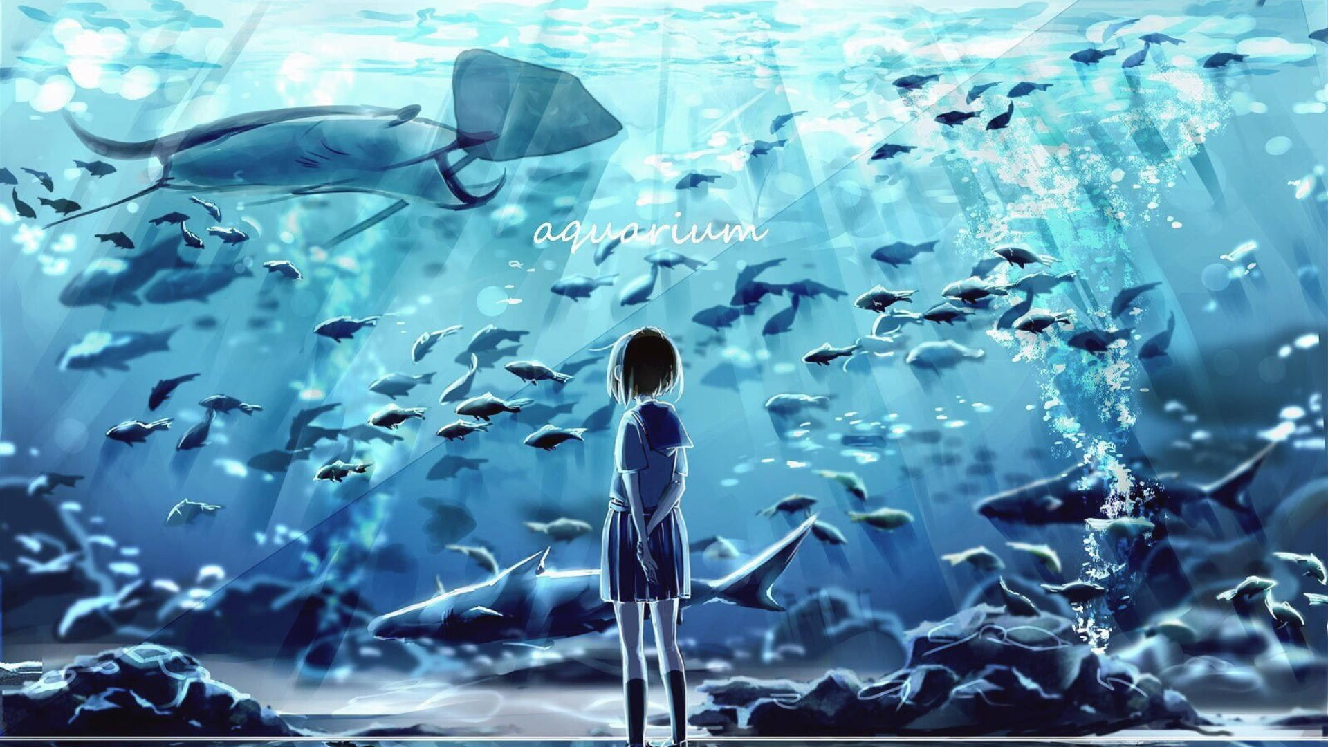 Girl Looking At Big Aquarium Wallpaper