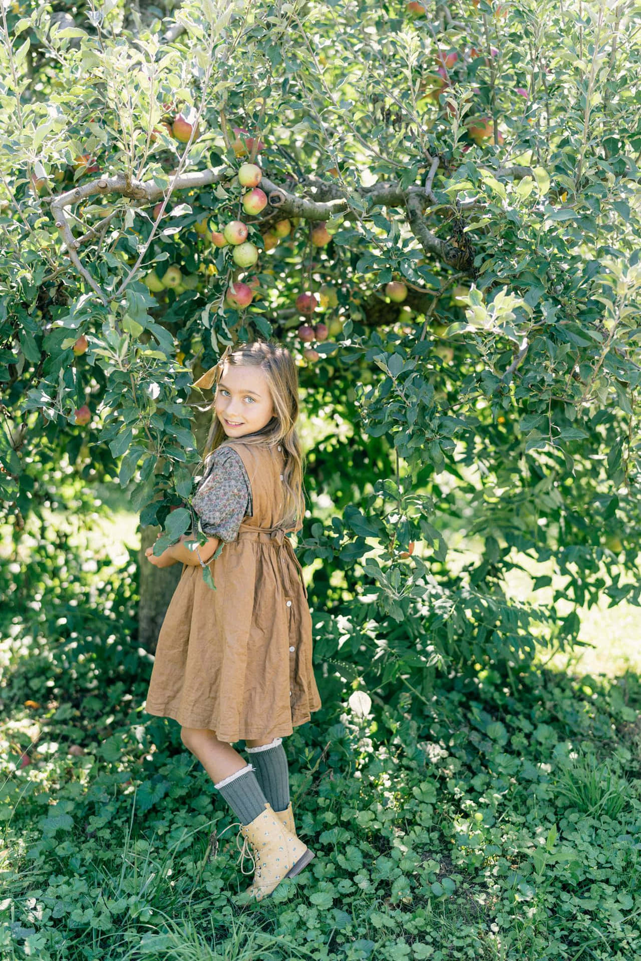 Girl Picking Apples Orchard Sunshine Wallpaper
