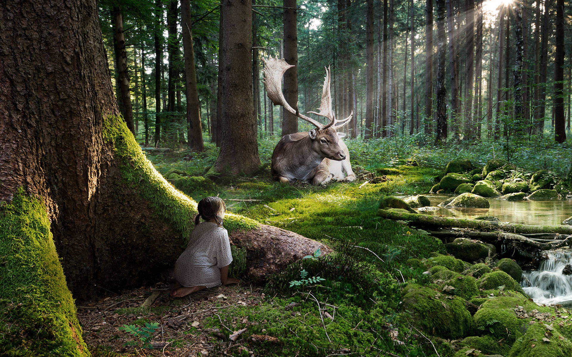 Girl Watching Enchanted Forest Deer Wallpaper