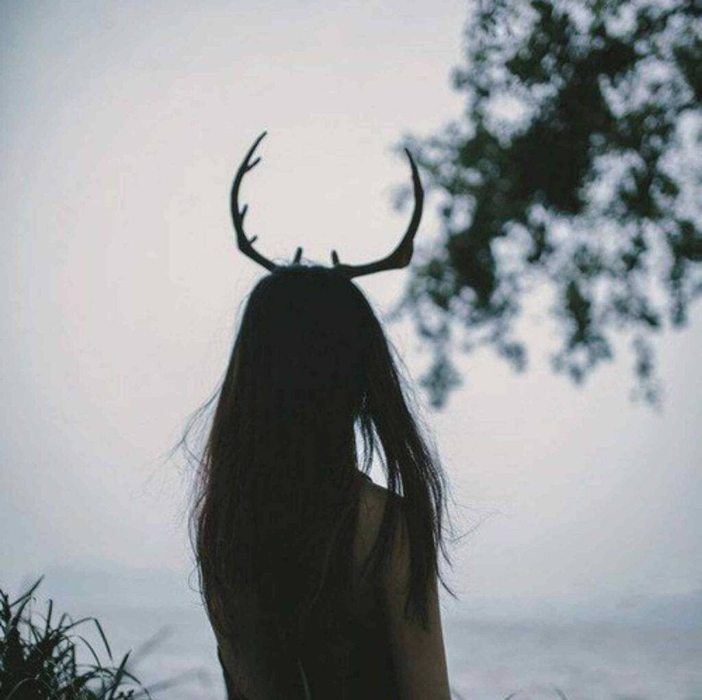 Girl With Antlers PFP Aesthetic Wallpaper