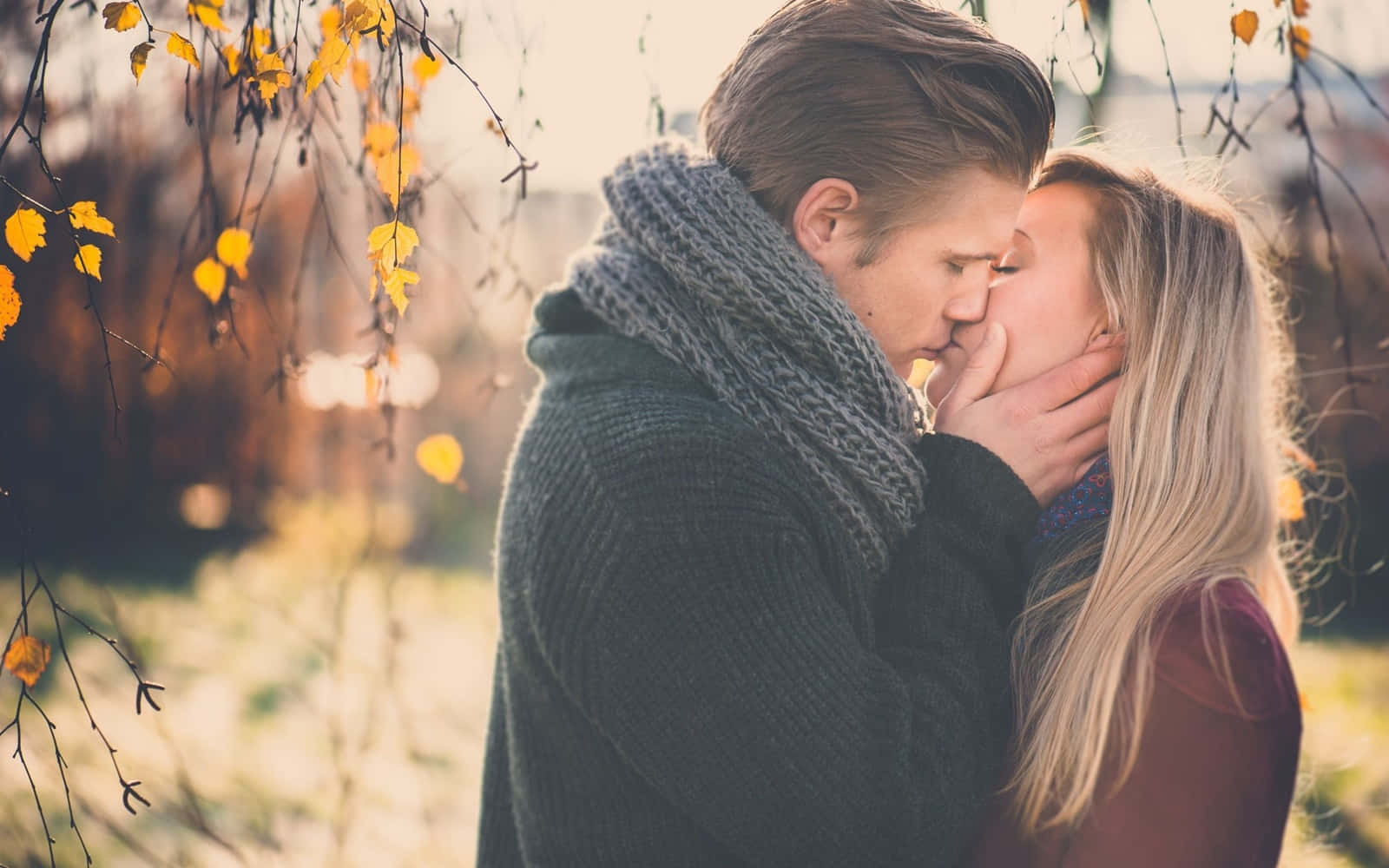 Girlfriend And Boyfriend Kissing Under The Tree Wallpaper