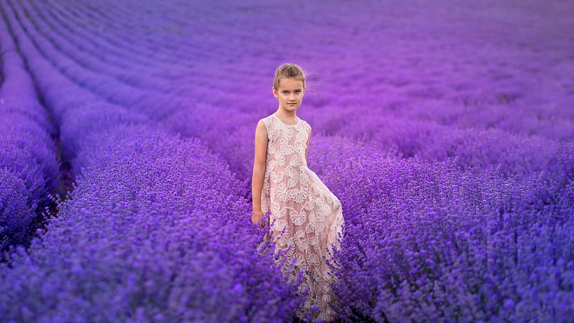 Girlin Lavender Field Wallpaper