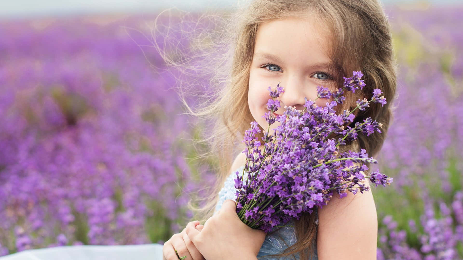 Girlin Lavender Field Holding Flowers.jpg Wallpaper