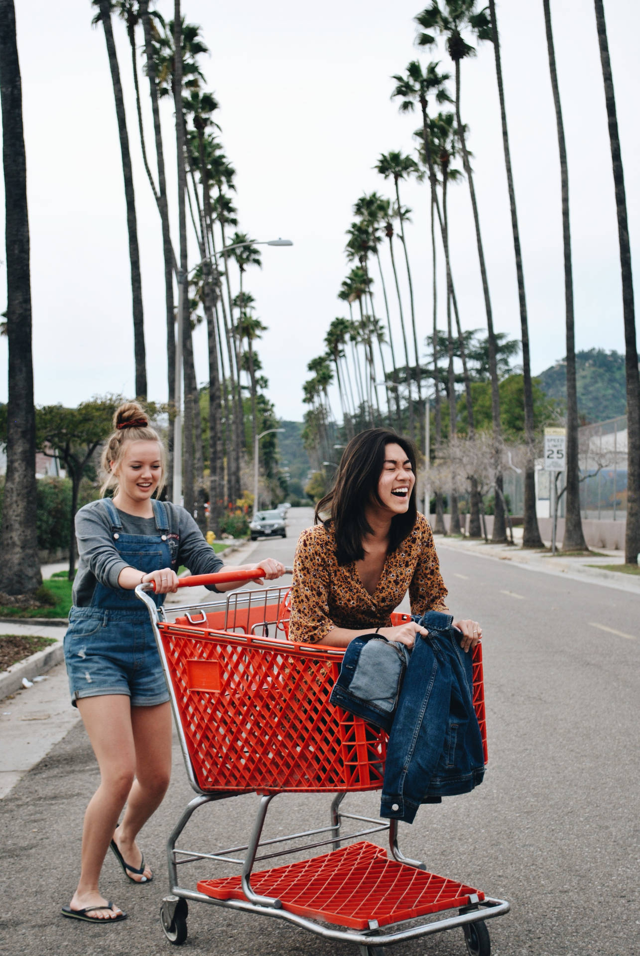 Girls Best Friend Shopping Cart
