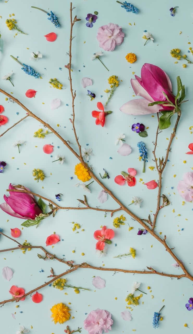 Girly Aesthetic Med Farverige Blomster Wallpaper