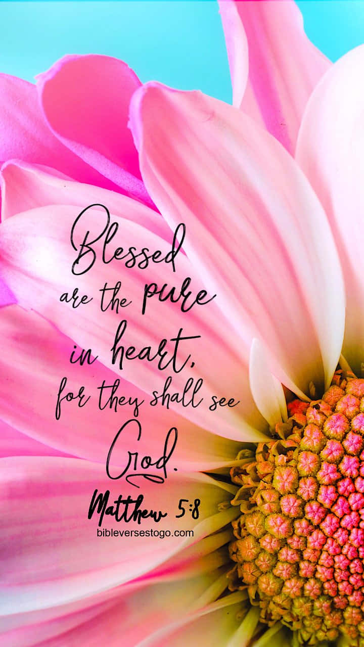 Pink Flower And A Girly Bible Verse Wallpaper