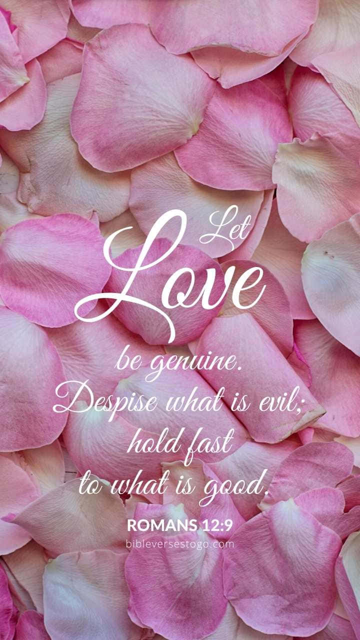 Lovely Girly Bible Verse With Petals Wallpaper