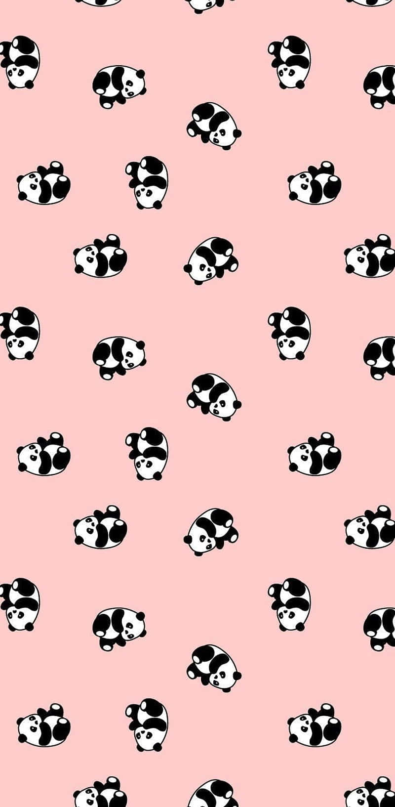 Girly Cute Panda Small Orientation Wallpaper