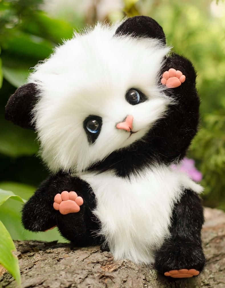 Girly Cute Panda Stuffed Toy Wallpaper