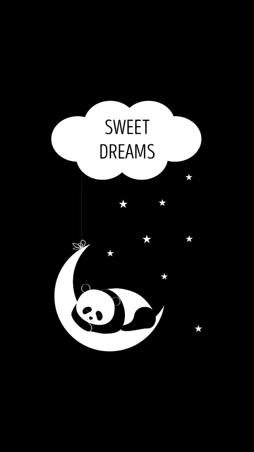 Girly Cute Panda Sweet Dreams Wallpaper