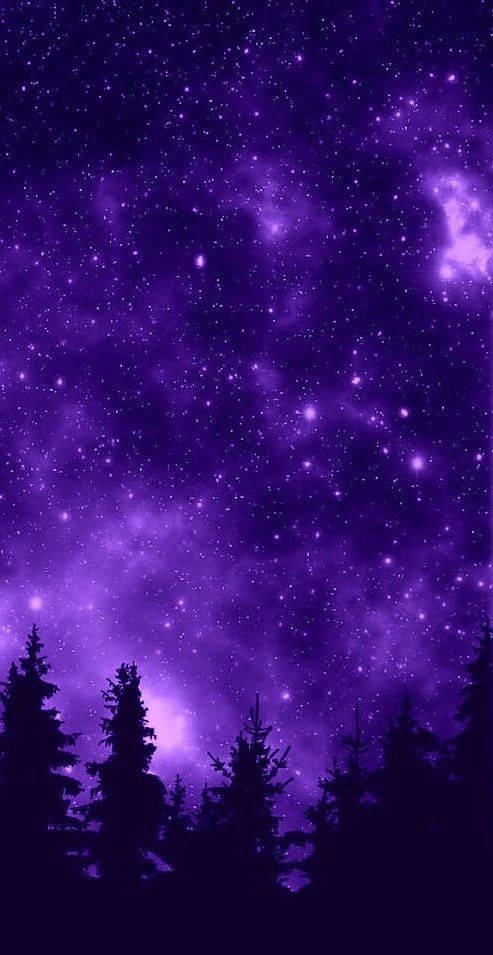 Girly Galaxy Purple Forest View Wallpaper
