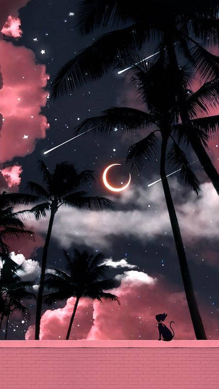 Girly Galaxy Black And Pink Palm Trees Wallpaper