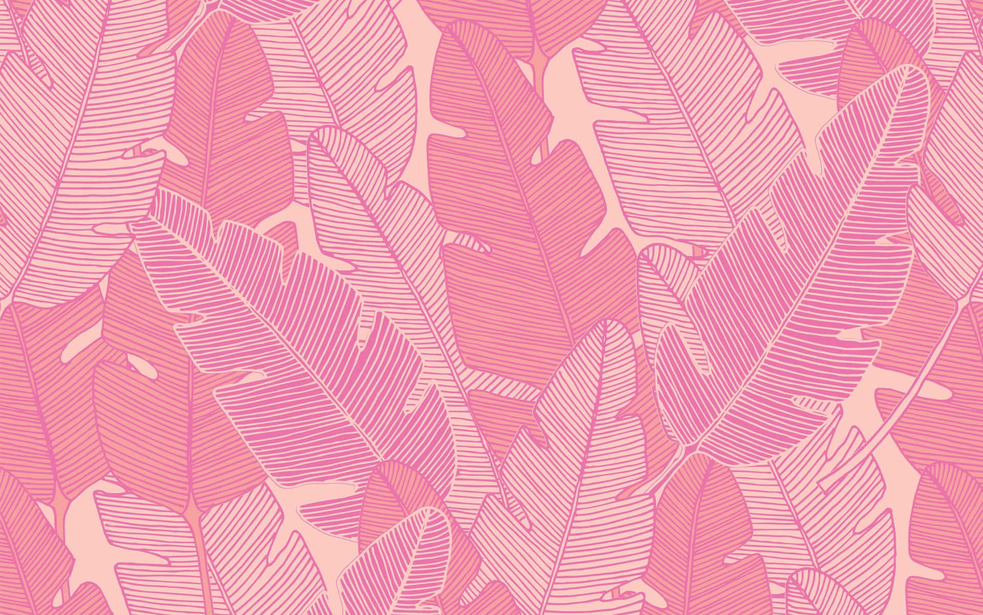 A Pink And White Tropical Leaf Pattern Wallpaper