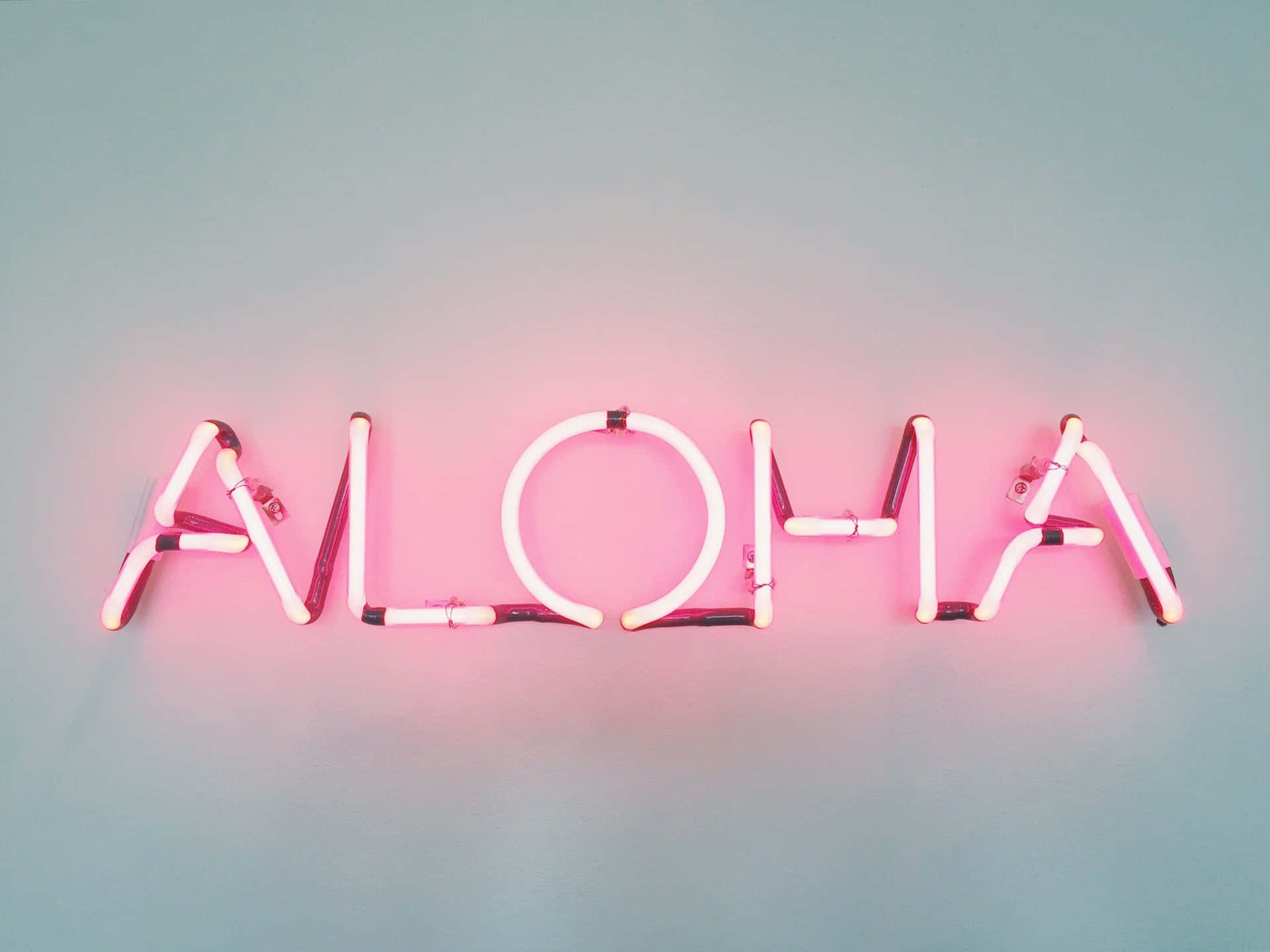 Uncartello Al Neon Con La Parola Aloha Sfondo