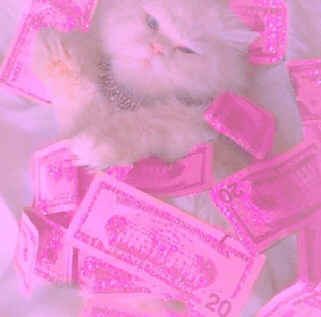 En hvid kat ligger på pink pengeposer Wallpaper