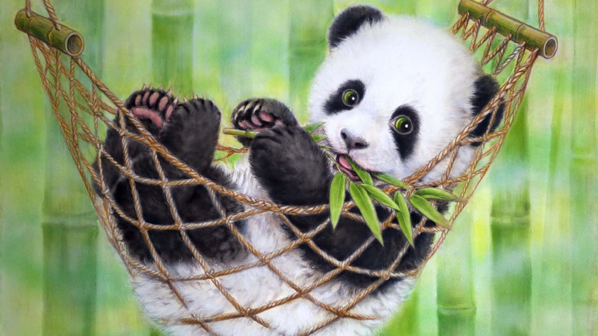 En pandabjørn i en bambus hængekøje Wallpaper
