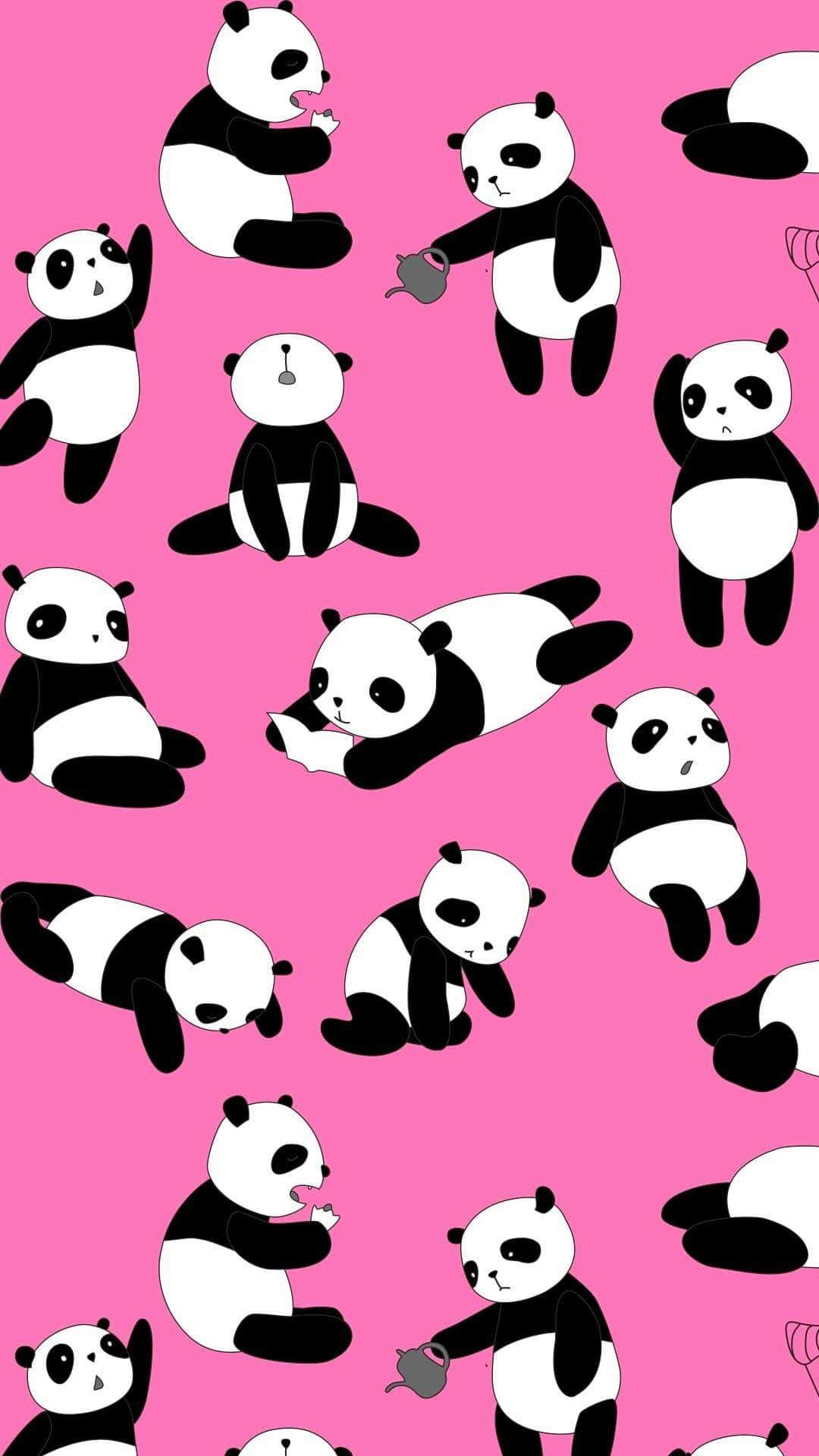 Adorable Girly Panda Wallpaper