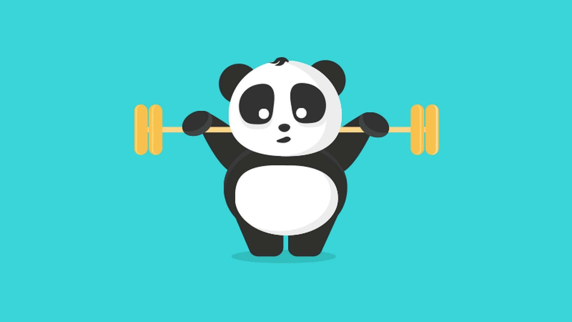 Girly Panda Exercising Wallpaper