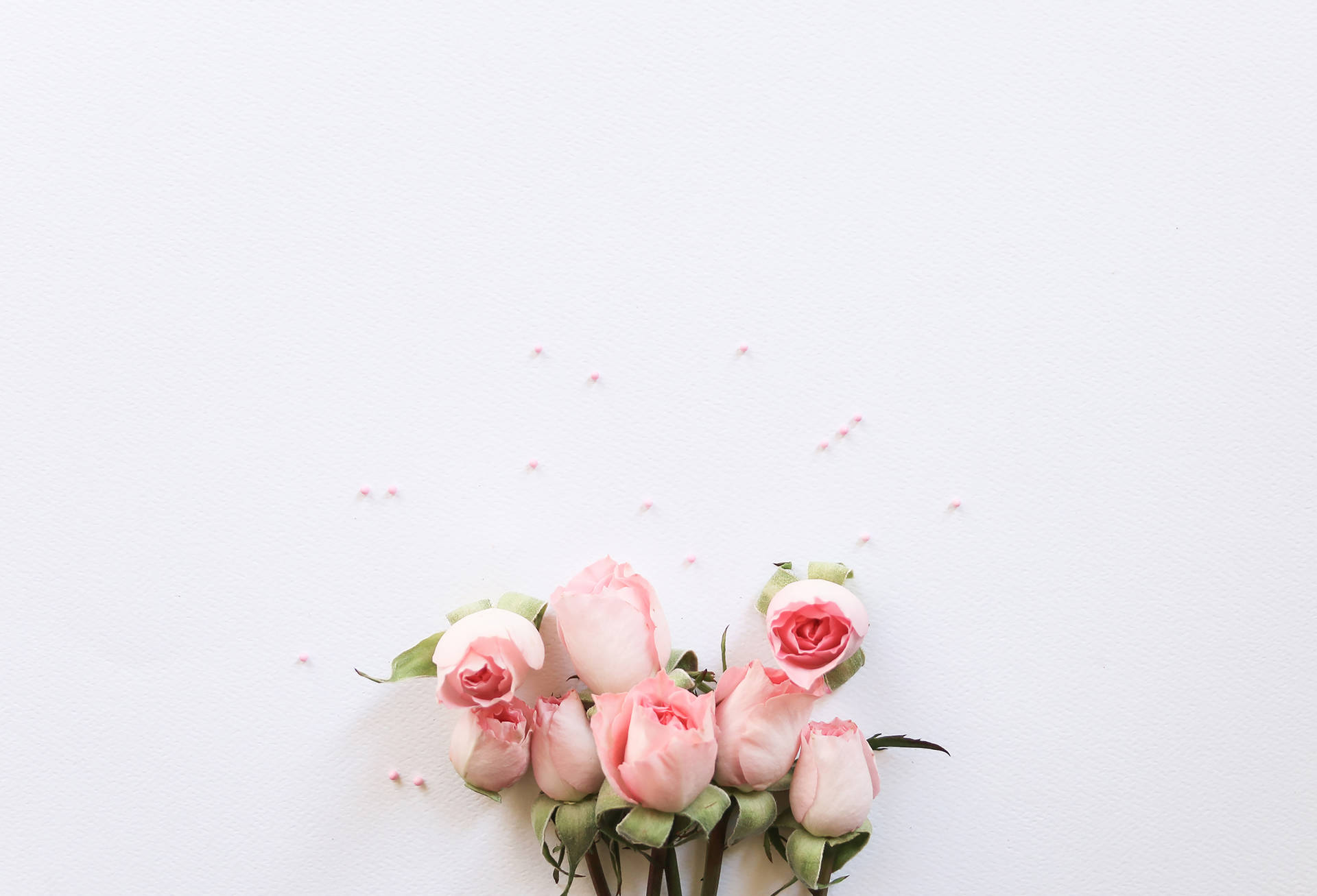 Girly Pink Aesthetic Roses