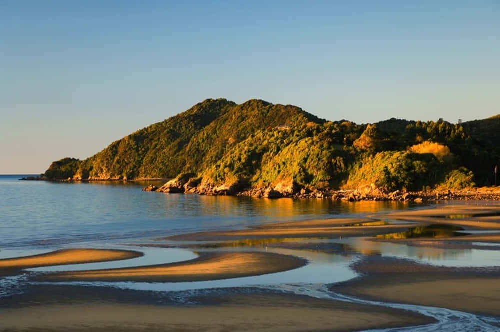 Gisborne Kust Schoonheid Nieuw-zeeland Achtergrond