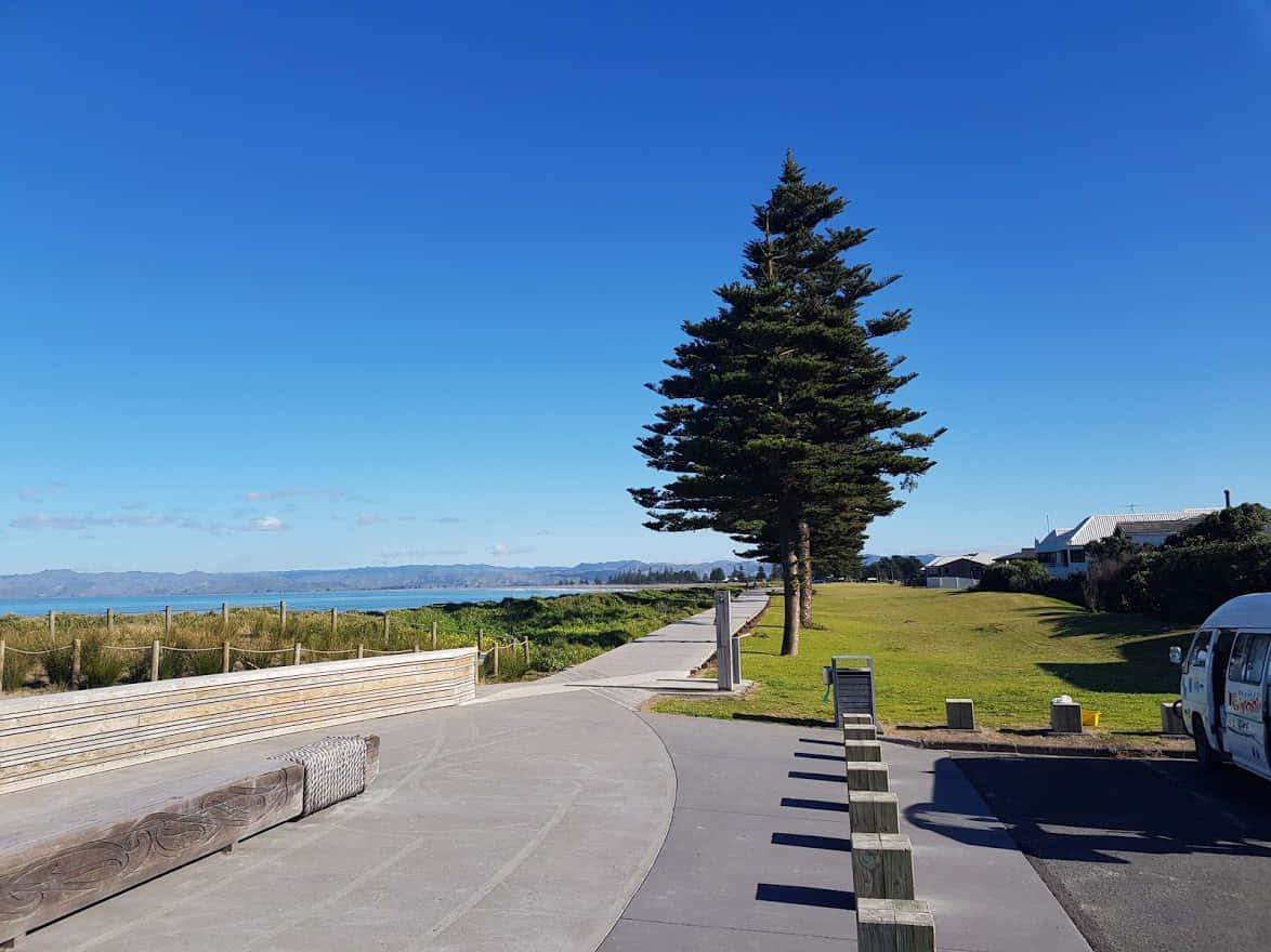 Gisborne Kystpromenade New Zealand Bakgrunnsbildet