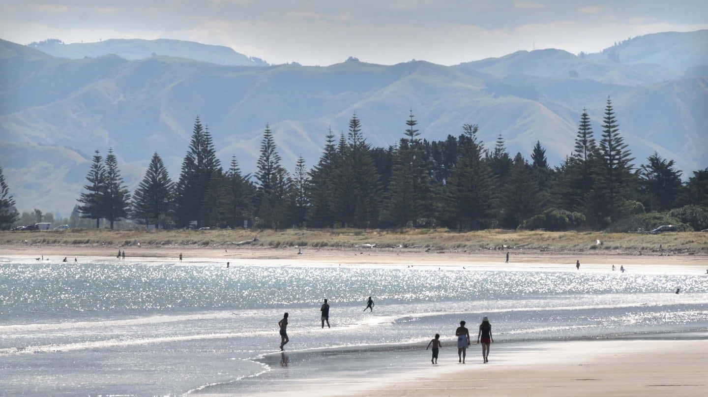 Gisborne Kystlandskap New Zealand Bakgrunnsbildet