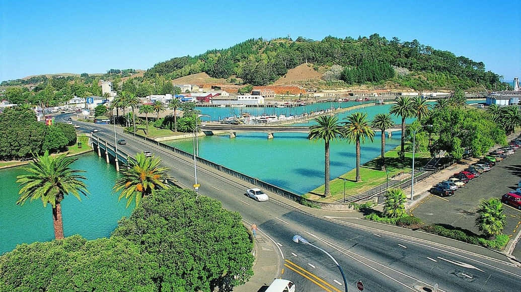 Gisborne Rivier En Brug Nieuw-zeeland Achtergrond