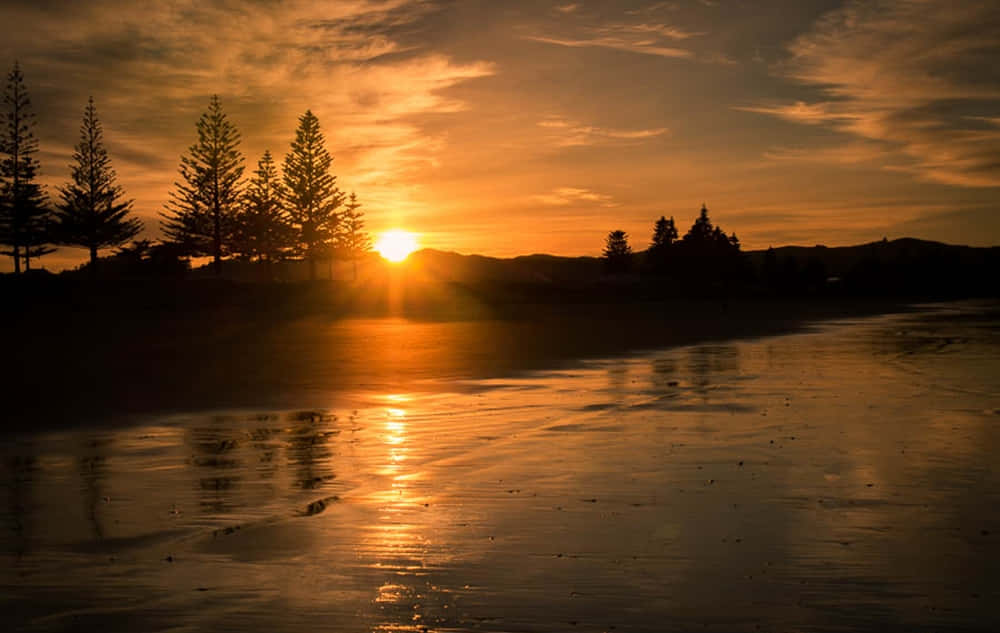 Gisborne Zonsondergang Strand Nieuw-zeeland Achtergrond