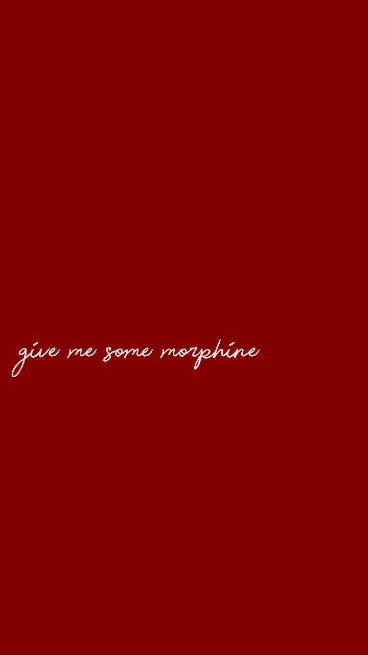Download Give Me Some Morphine Plain Aesthetic Wallpaper 
