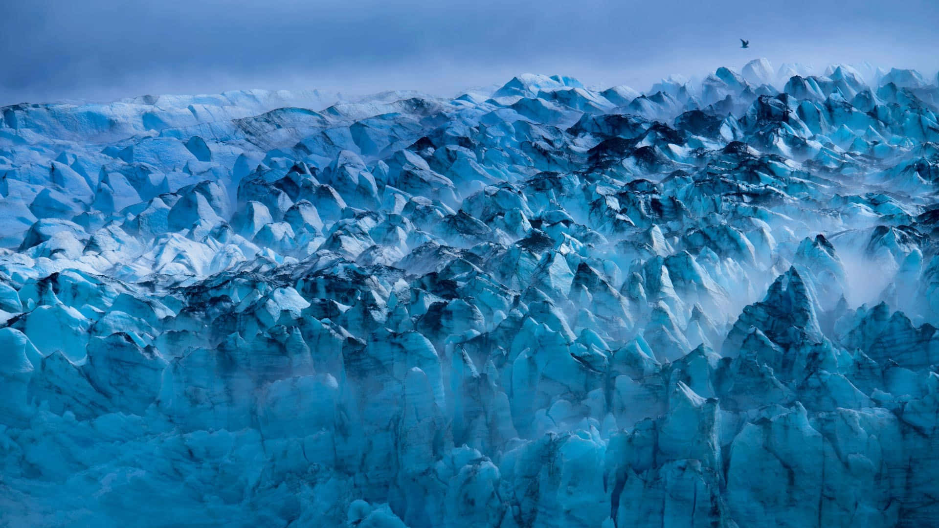 Glacier Bay National Park Icy Blue Wallpaper
