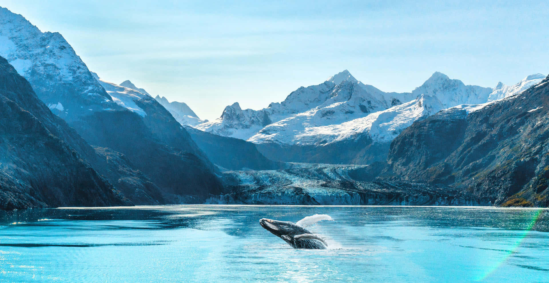 Glacier Bay National Park With Whale Wallpaper