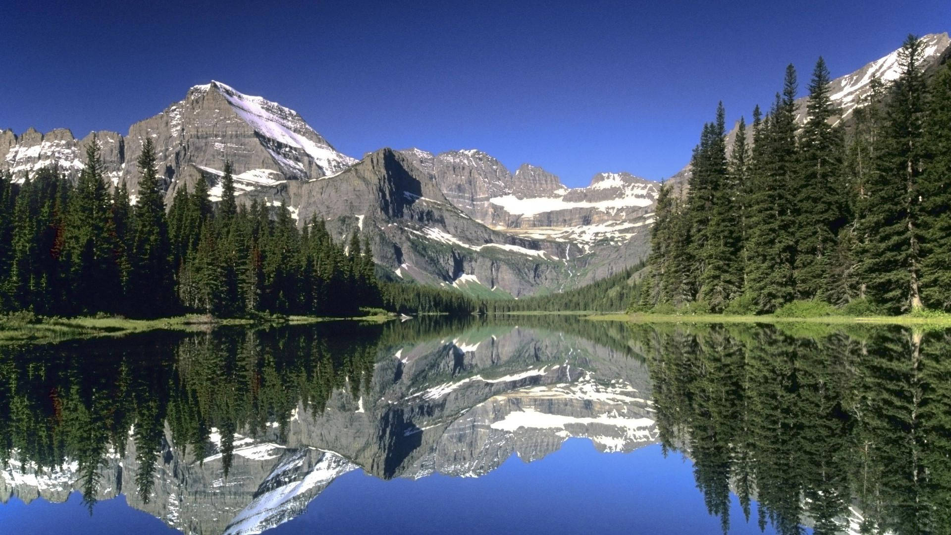 Bosquey Lago Del Parque Nacional Glacier Fondo de pantalla
