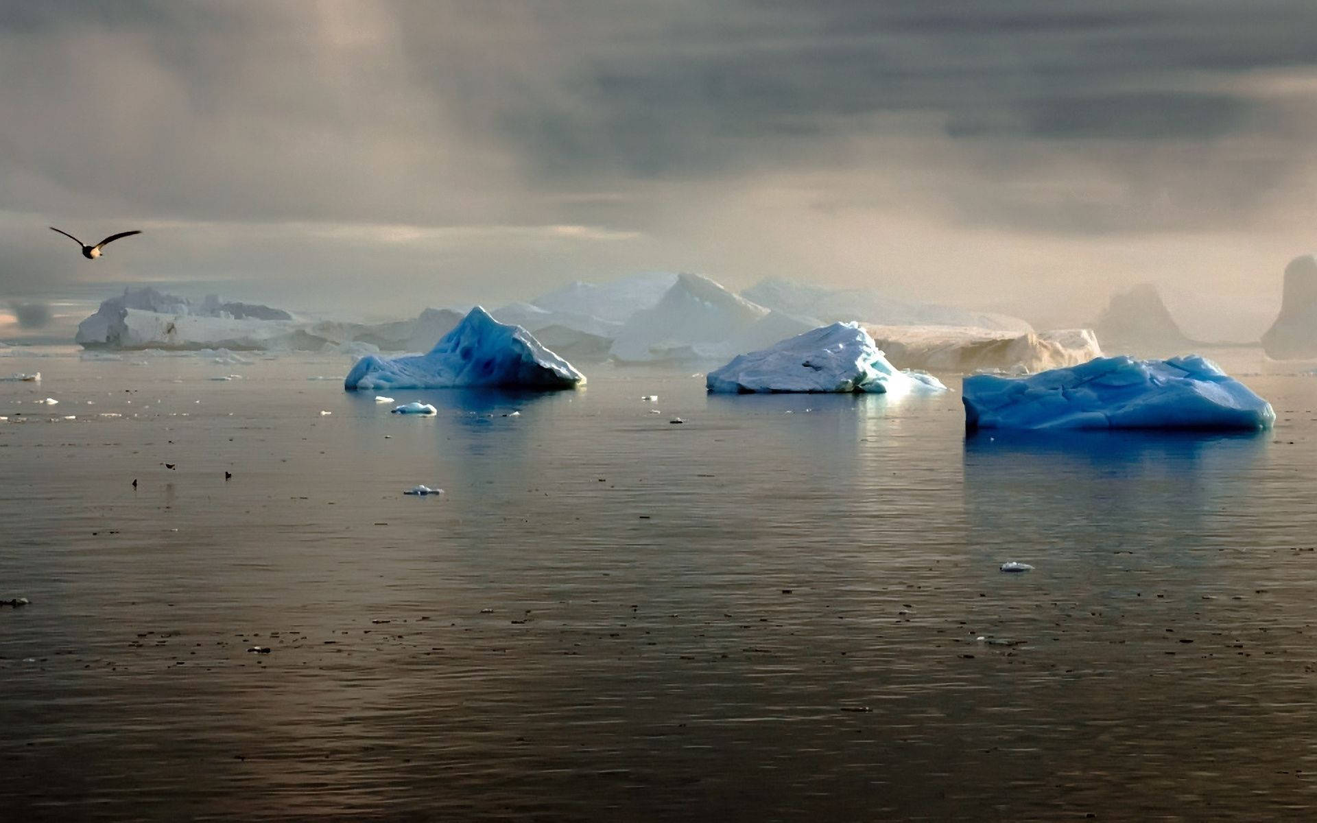 Glaciers In The Ocean Picture