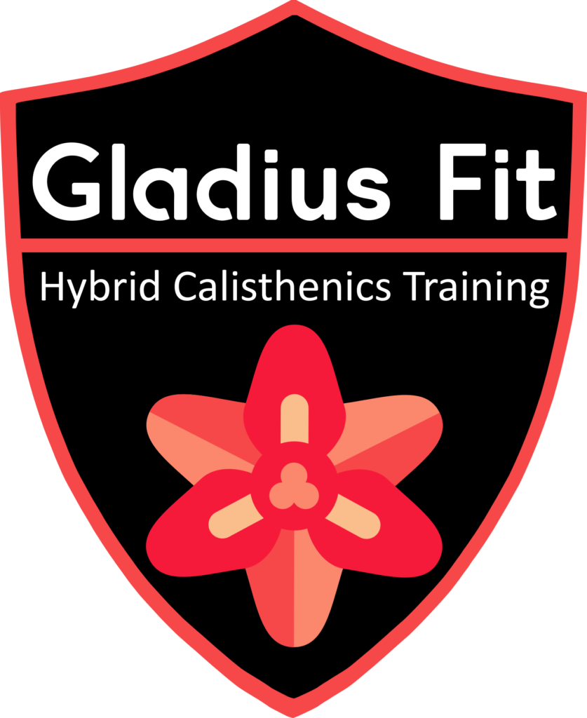 Gladius Fit Hybrid Training Logo PNG