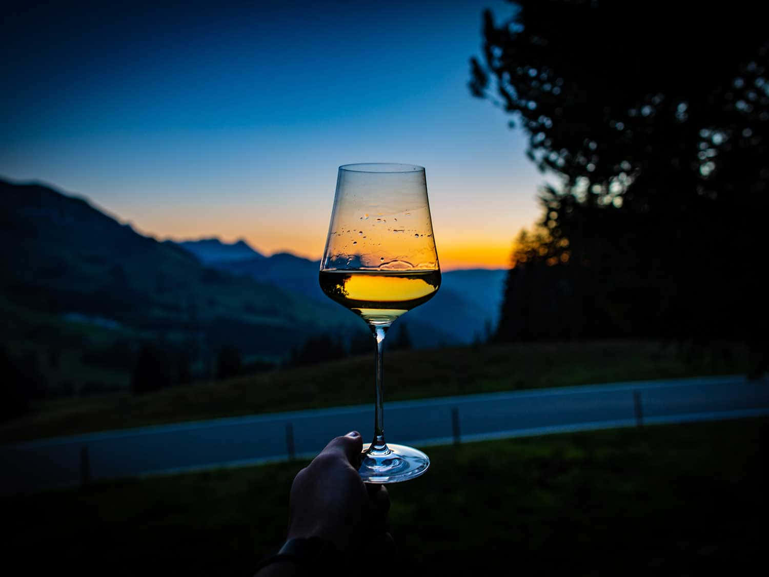 A Person Holding A Glass Of Wine At Sunset