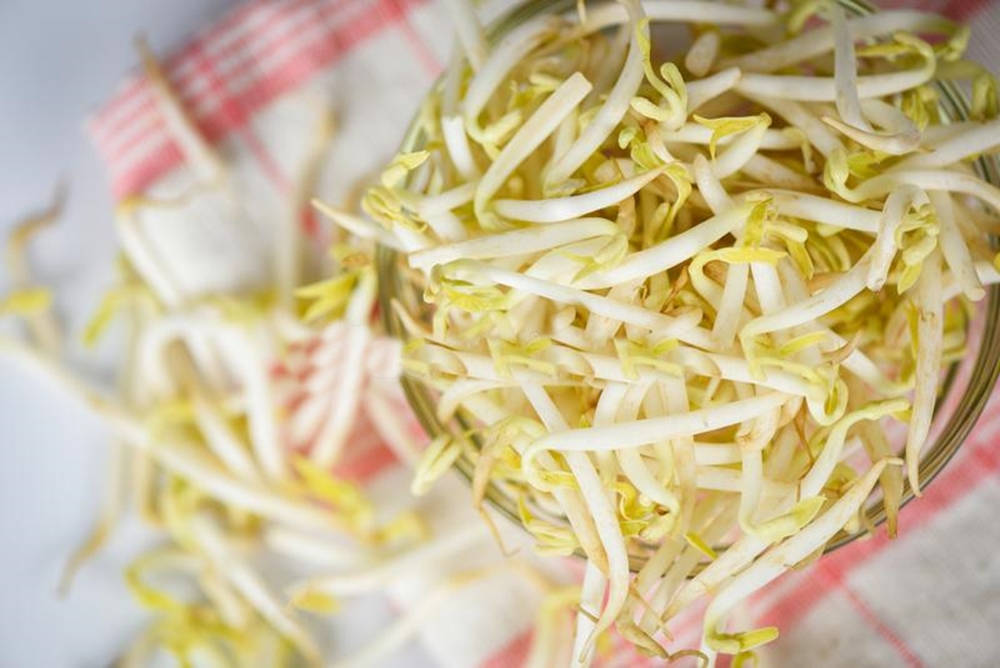 Glass Bowl Mung Bean Sprouts Vegetable Wallpaper